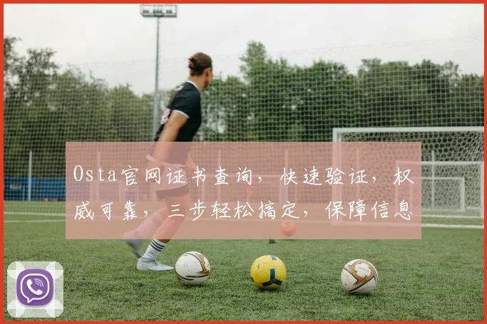 Osta官网证书查询，快速验证，权威可靠，三步轻松搞定，保障信息安全，