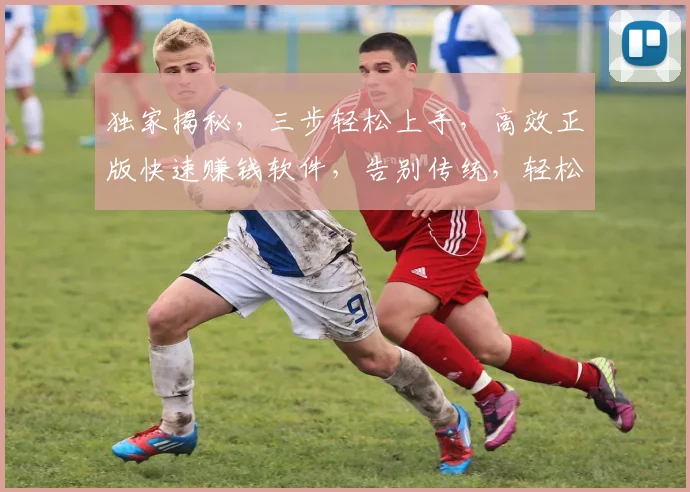 独家揭秘，三步轻松上手，高效正版快速赚钱软件，告别传统，轻松赚翻天，不容错过