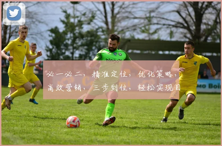 必一必二，精准定位，优化策略，高效营销，三步到位，轻松实现目标