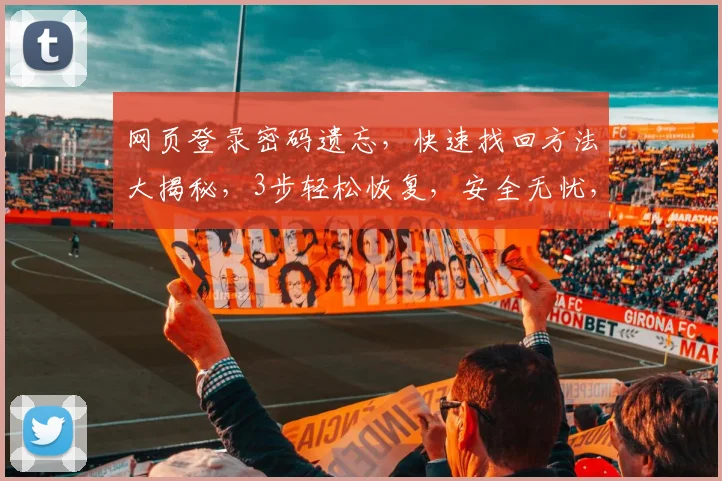 网页登录密码遗忘，快速找回方法大揭秘，3步轻松恢复，安全无忧，解决密码难题，一网打尽