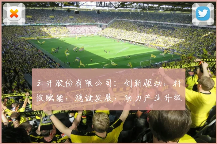 云开股份有限公司：创新驱动，科技赋能，稳健发展，助力产业升级，共创辉煌未来